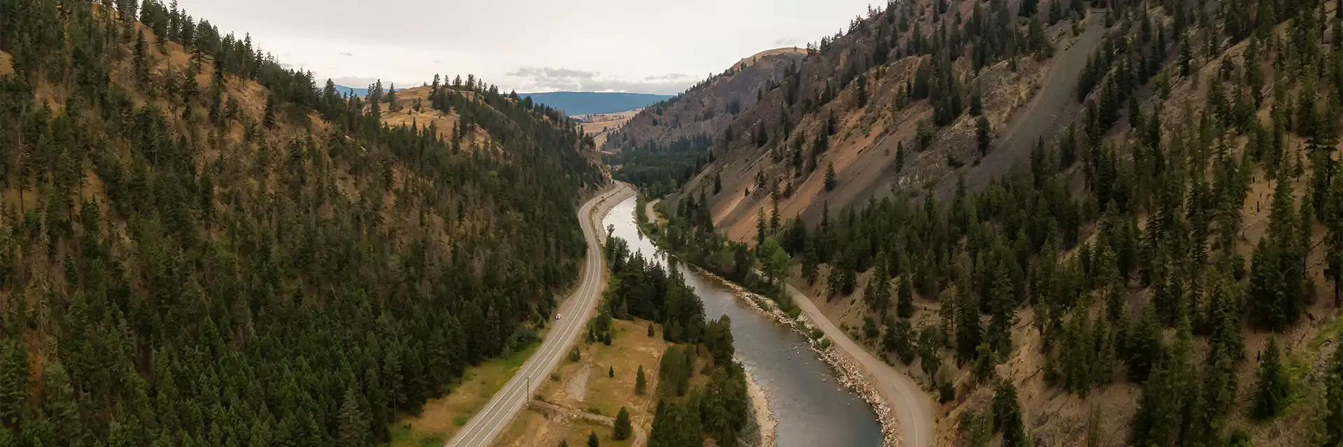 aerial view of road in idaho winding through tall trees